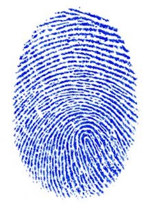 What Do Fingerprints Prove?