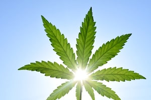 Medical Marijuana in Florida?